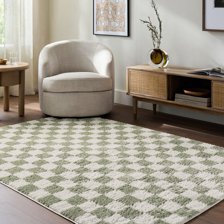 Fossay Washable Checkered Shaggy Rug Green - TheArtistsQuarter