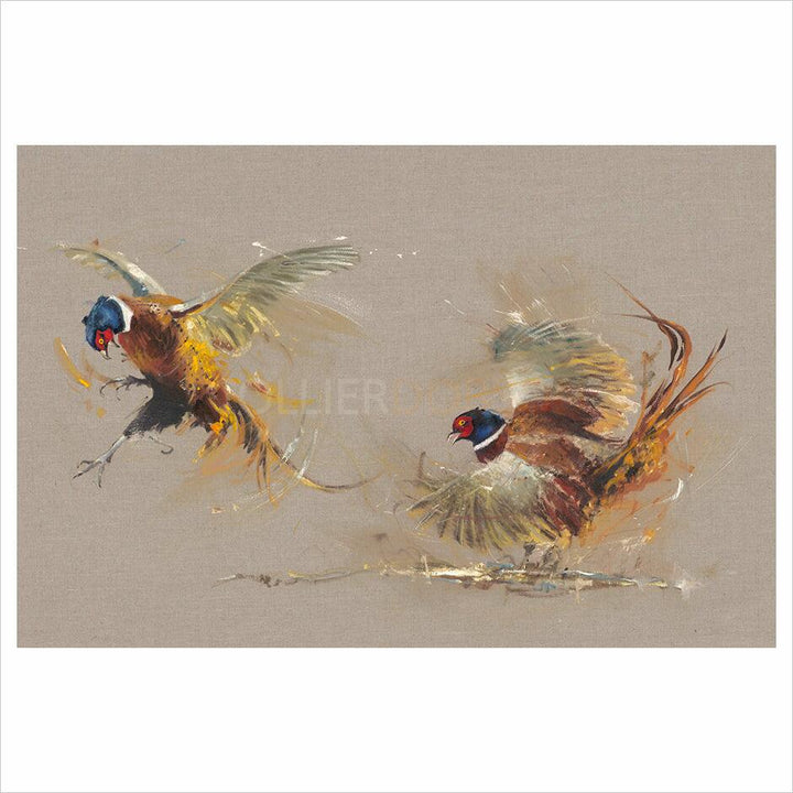 Two Chasing Pheasants By Josie Appleby - TheArtistsQuarter