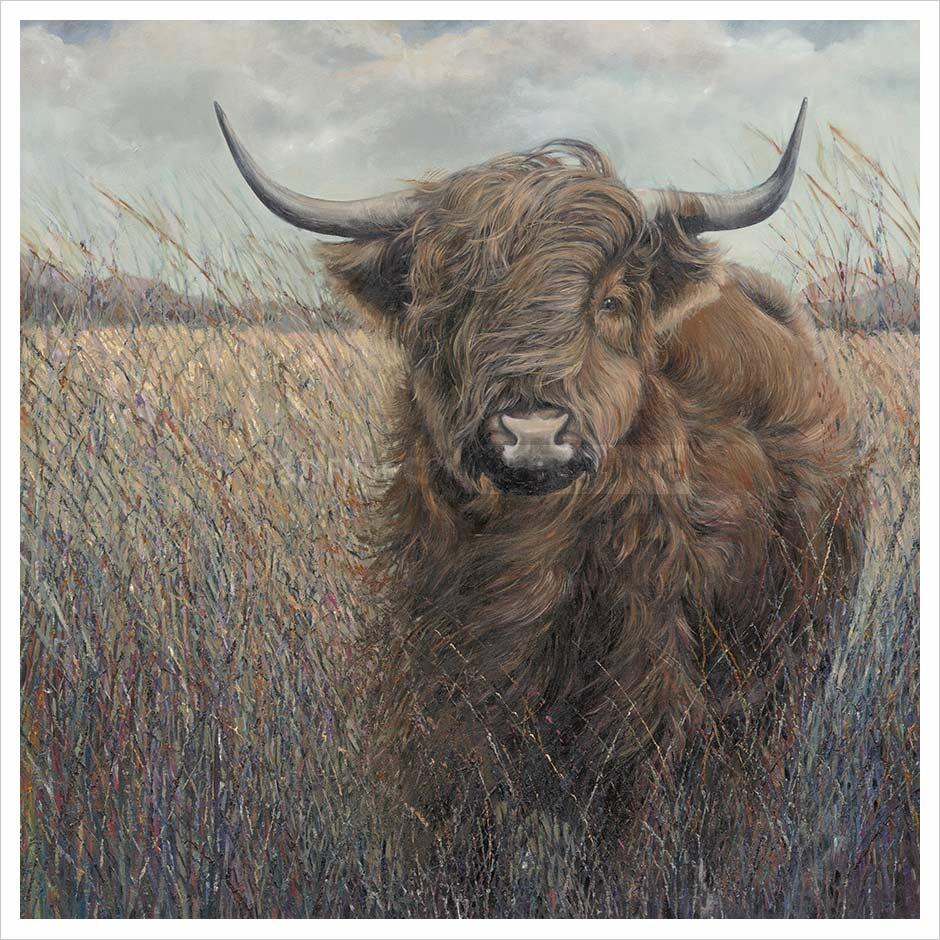 Highland Cow By Julia Whitehead - TheArtistsQuarter