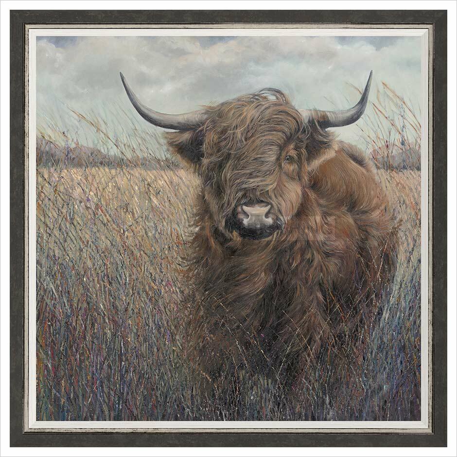 Highland Cow By Julia Whitehead - TheArtistsQuarter