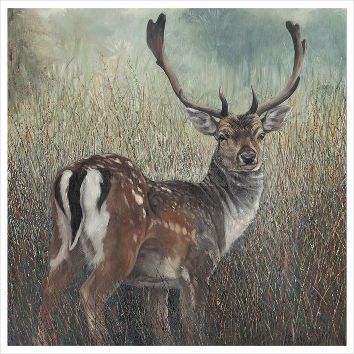 Fallow Deer By Julia Whitehead - TheArtistsQuarter