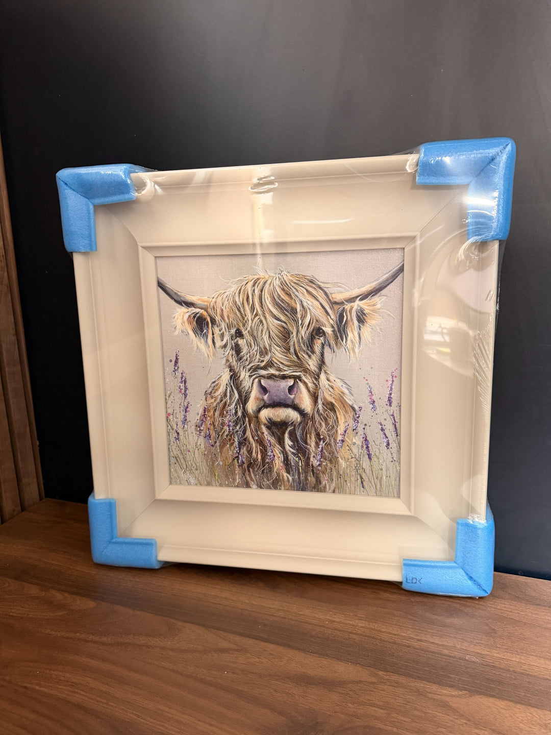 Highland Cow trial artwork by Louise Luton in a cream frame