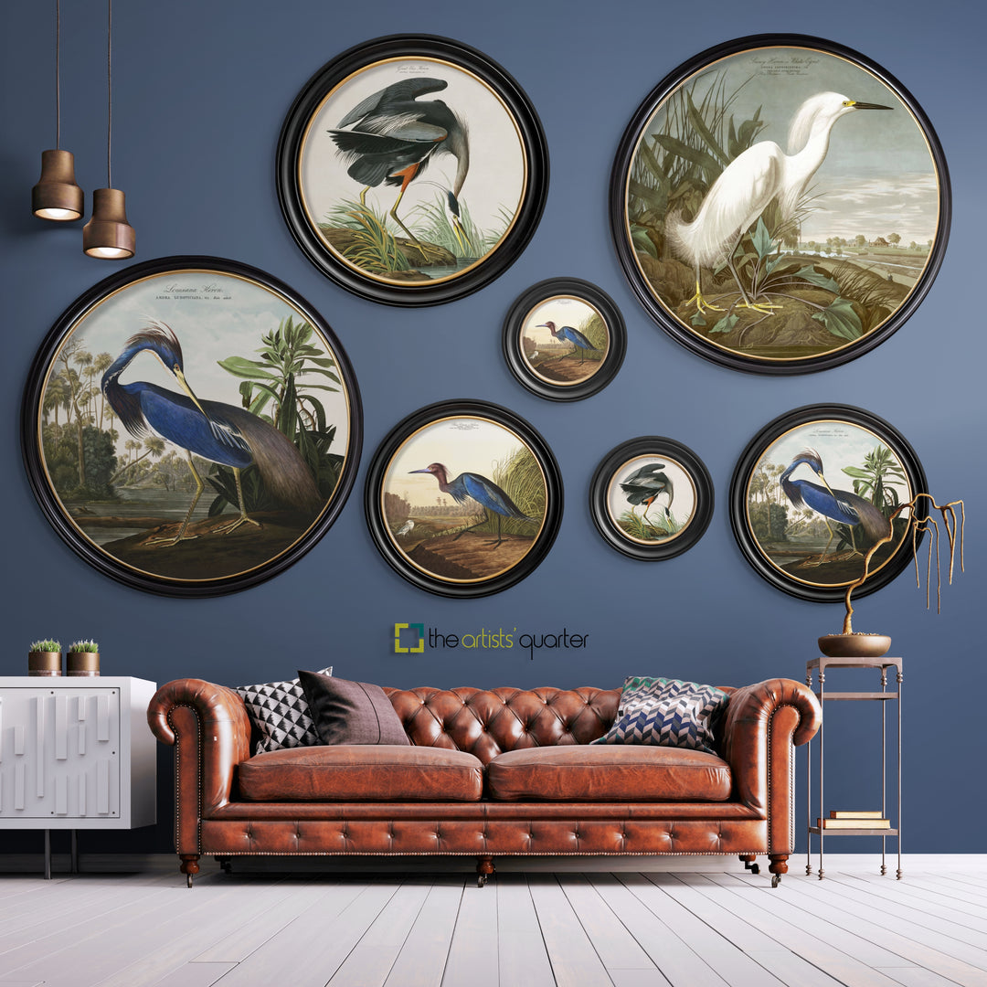 C.1838 Audubon's Herons - Round Frame - TheArtistsQuarter