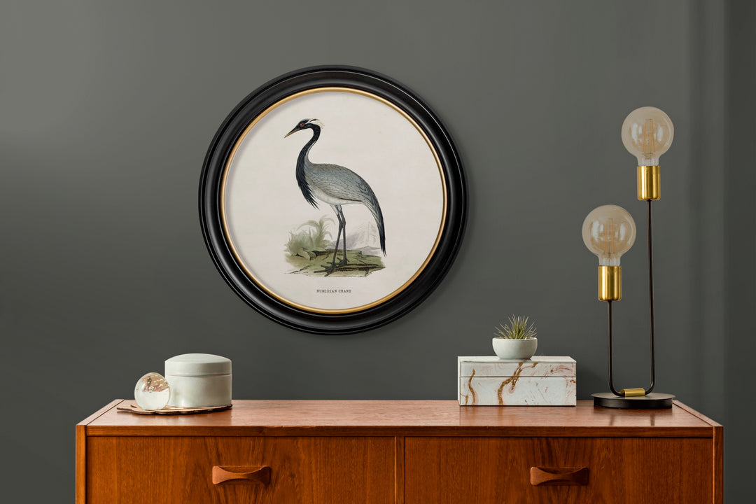 c.1870 Wading Birds in Round Frames - TheArtistsQuarter