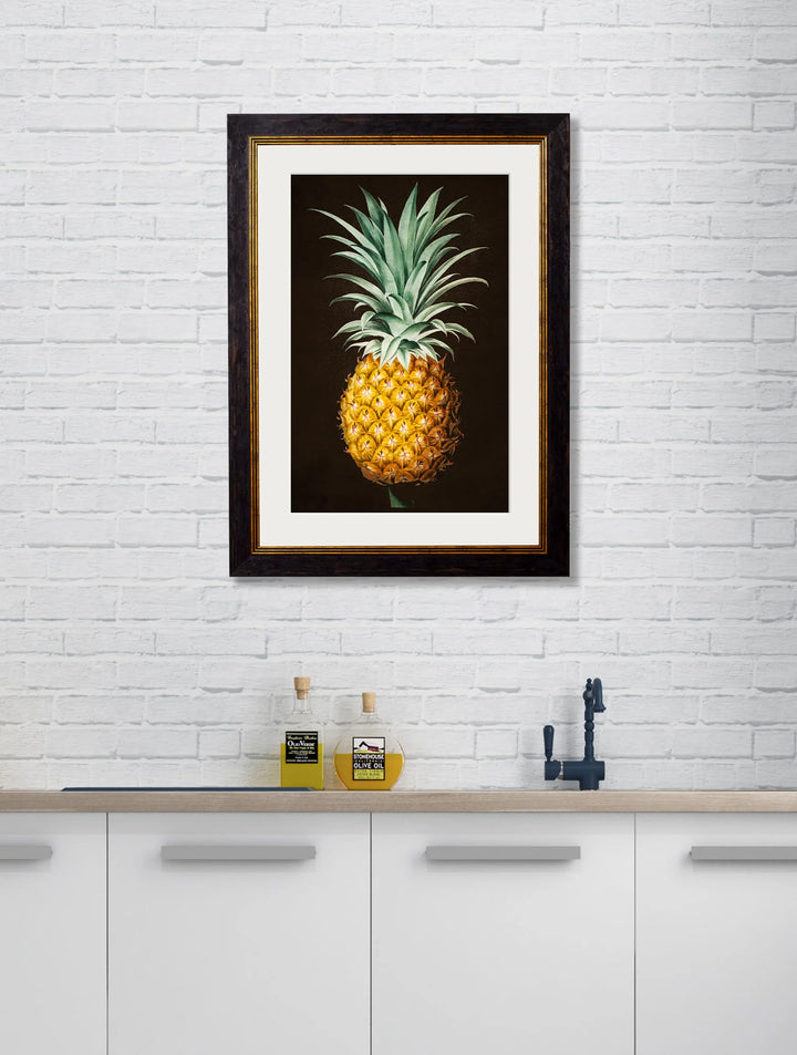 C.1812 Pineapple Plant Studies - TheArtistsQuarter