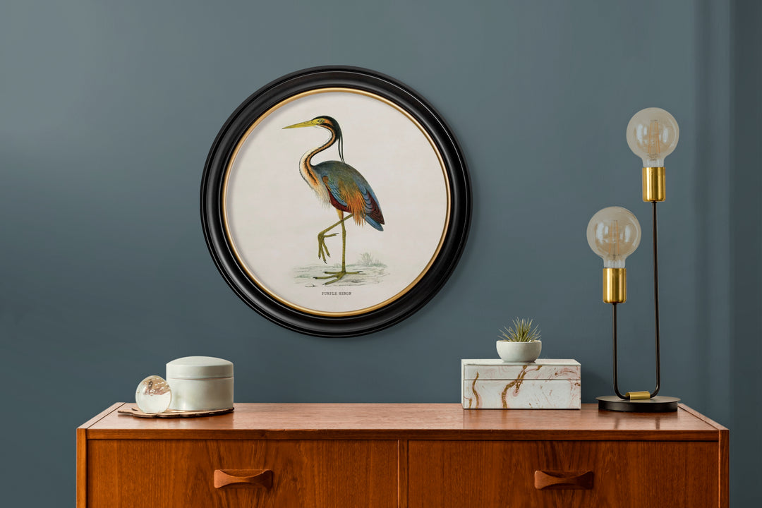 c.1870 Wading Birds in Round Frames - TheArtistsQuarter