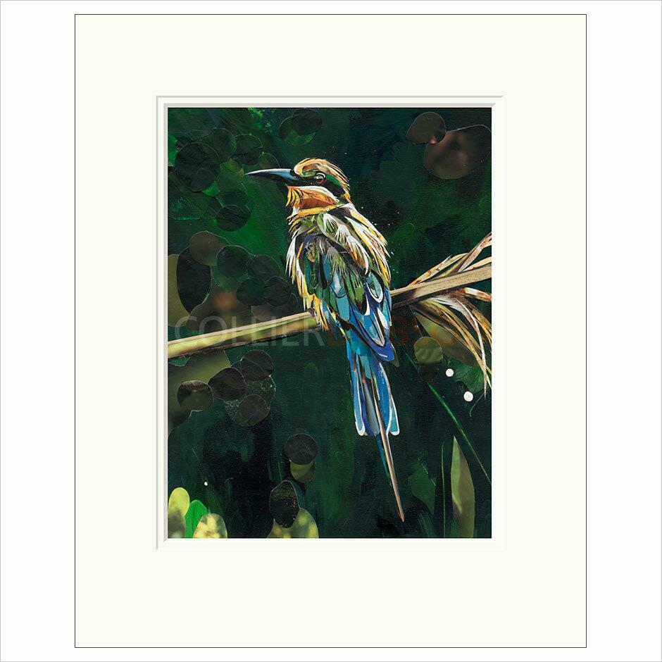 Paradise By Sarah Jackson - TheArtistsQuarter