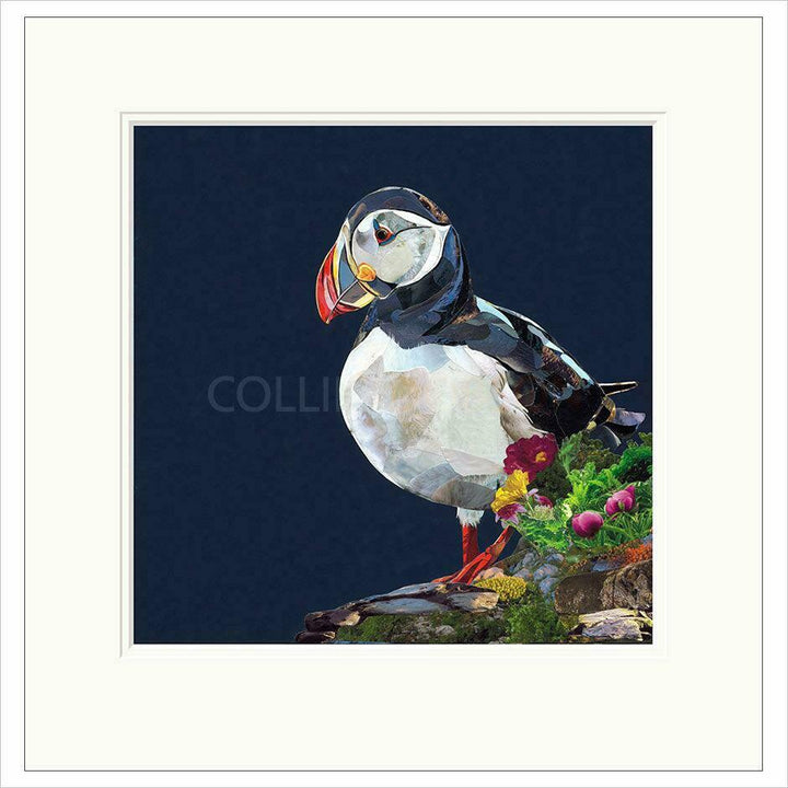 Lundy By Sarah Jackson - TheArtistsQuarter