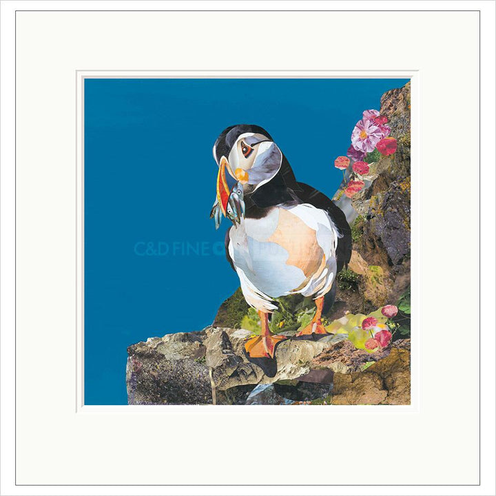 Catch of the Day By Sarah Jackson - TheArtistsQuarter
