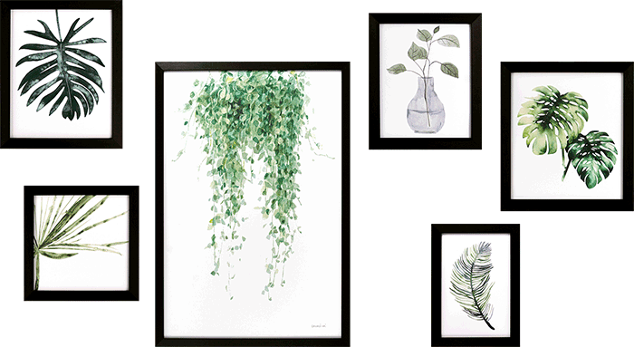 Plant Study Collection - TheArtistsQuarter