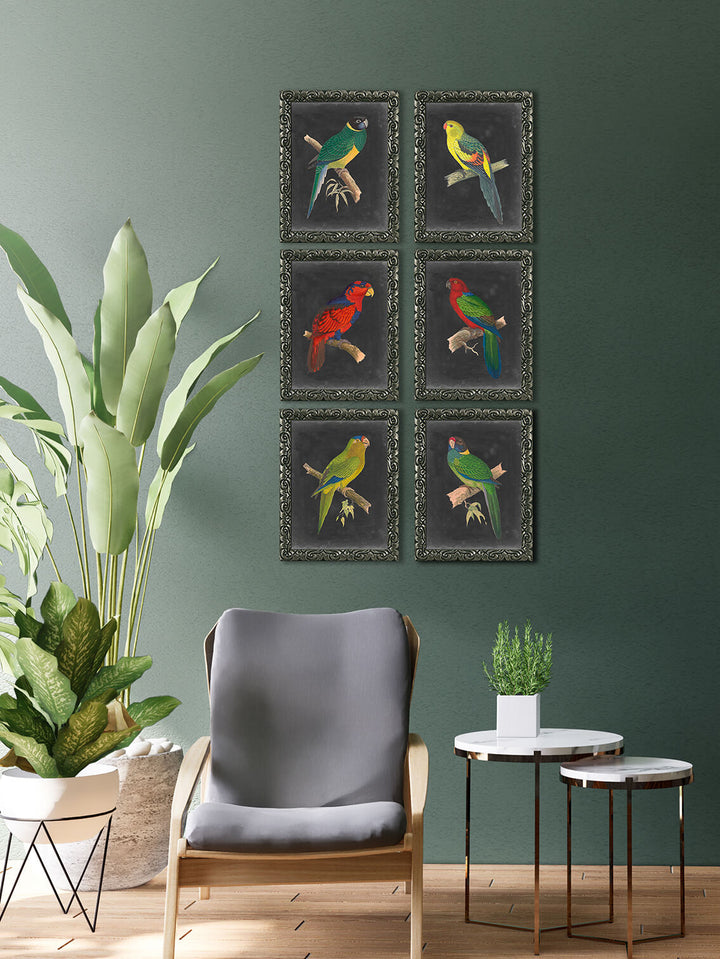 Full Set Of Dramatic Parrots - TheArtistsQuarter