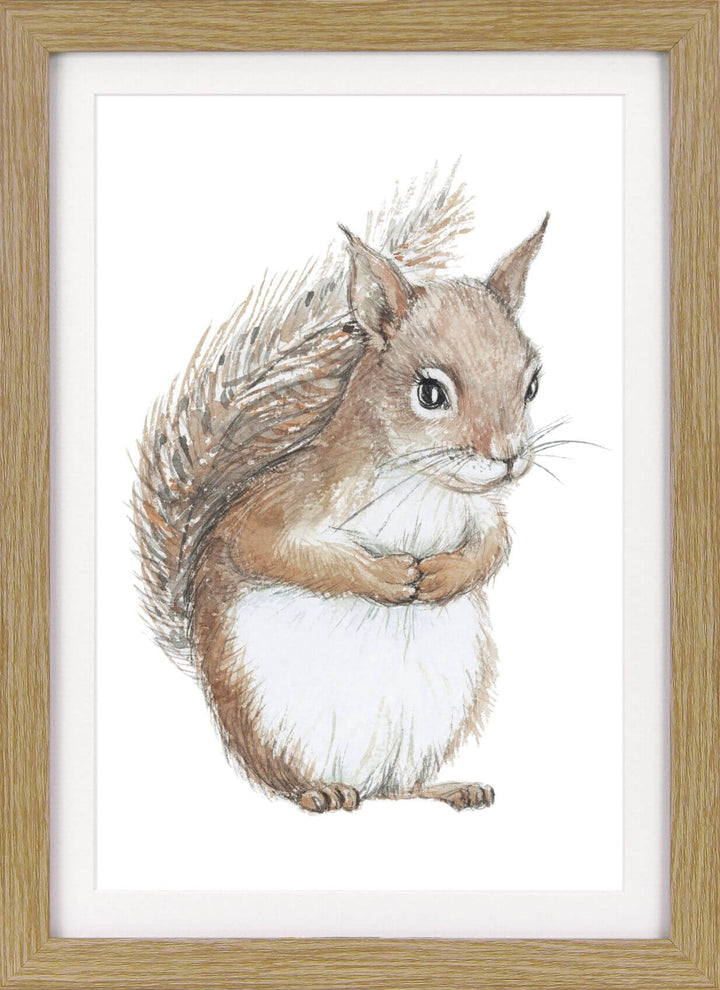 Baby Animals IV Squirrel Kit By Elena Markelova - TheArtistsQuarter