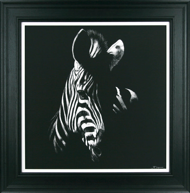 Zebra Stare By Julie Chapman - TheArtistsQuarter