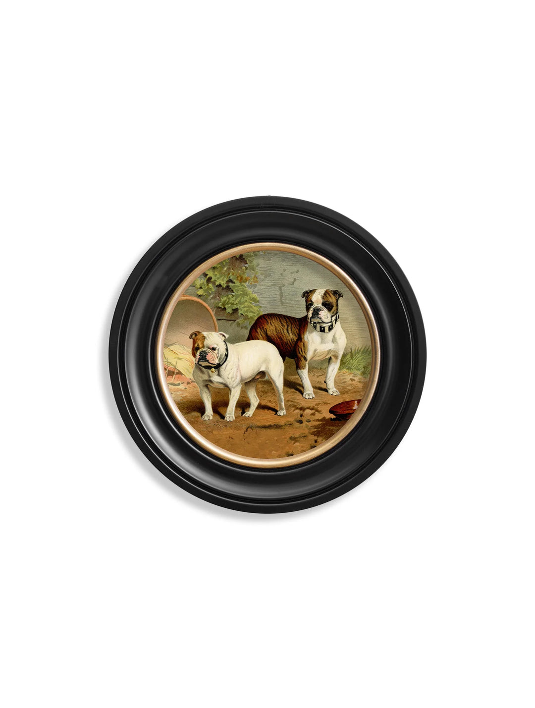 c.1881 Dogs - Round Frame - TheArtistsQuarter