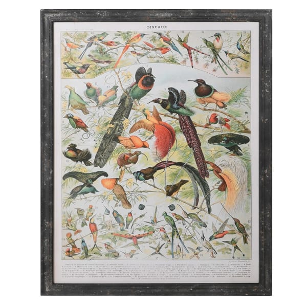 Vintage Style Birds - TheArtistsQuarter