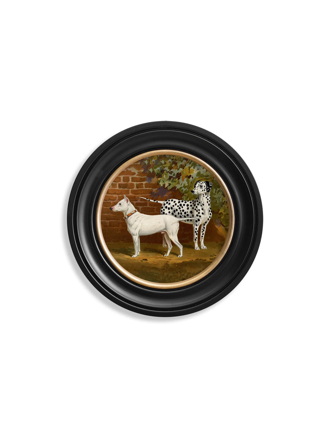 c.1881 Dogs - Round Frame - TheArtistsQuarter