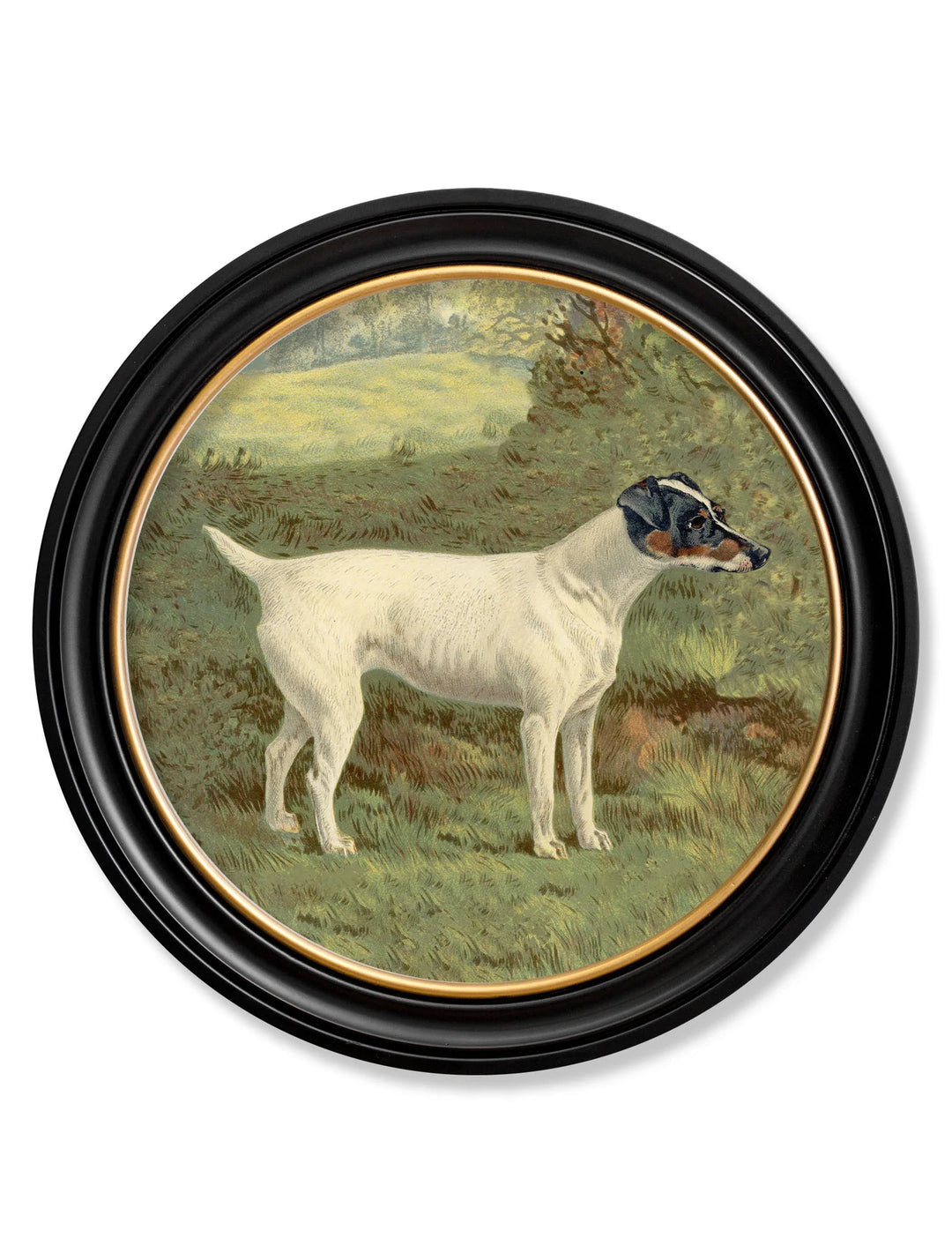 c.1881 Terriers - Round Frame - TheArtistsQuarter