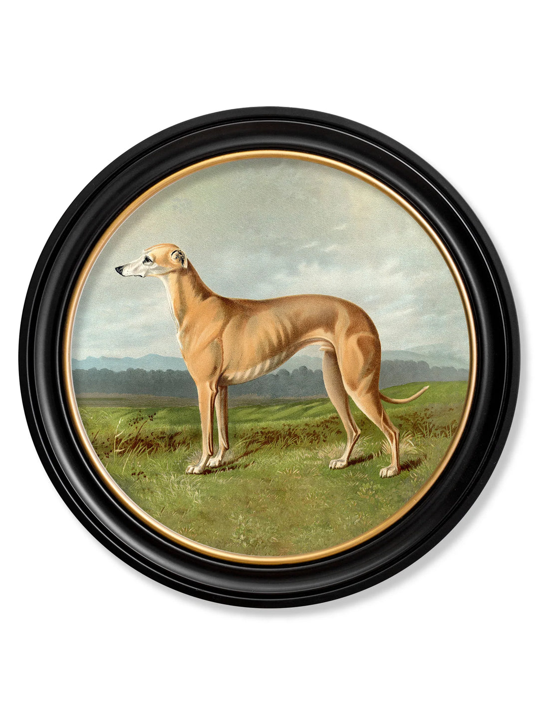 c.1881 Working Dogs - Round Frame - TheArtistsQuarter