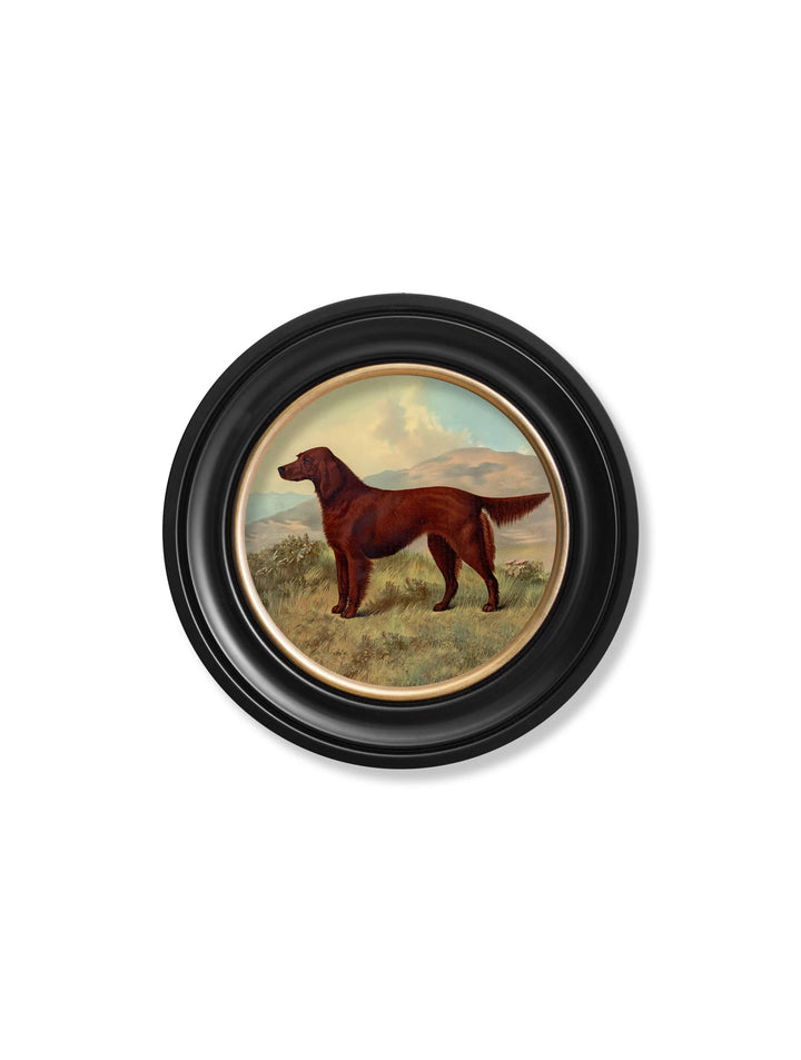 c.1881 Working Dogs - Round Frame - TheArtistsQuarter