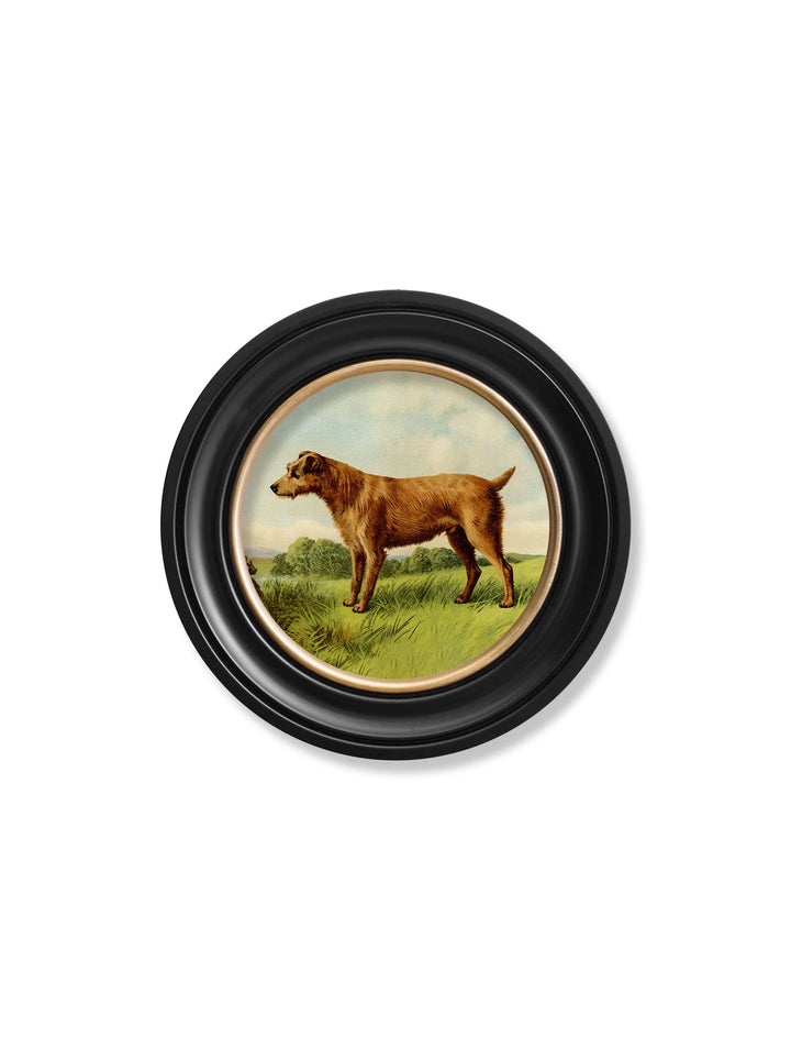 c.1881 Terriers - Round Frame - TheArtistsQuarter