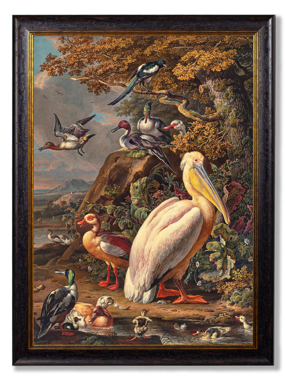 c.1683 Pelican Painting - TheArtistsQuarter