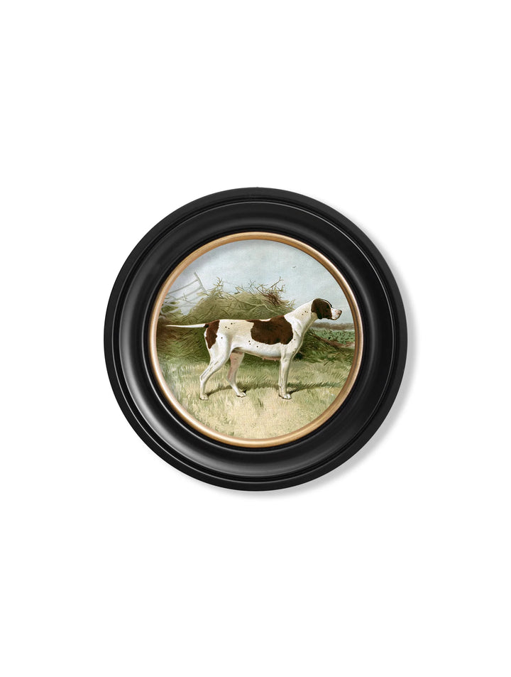 c.1881 Gun Dogs - Round Frame - TheArtistsQuarter