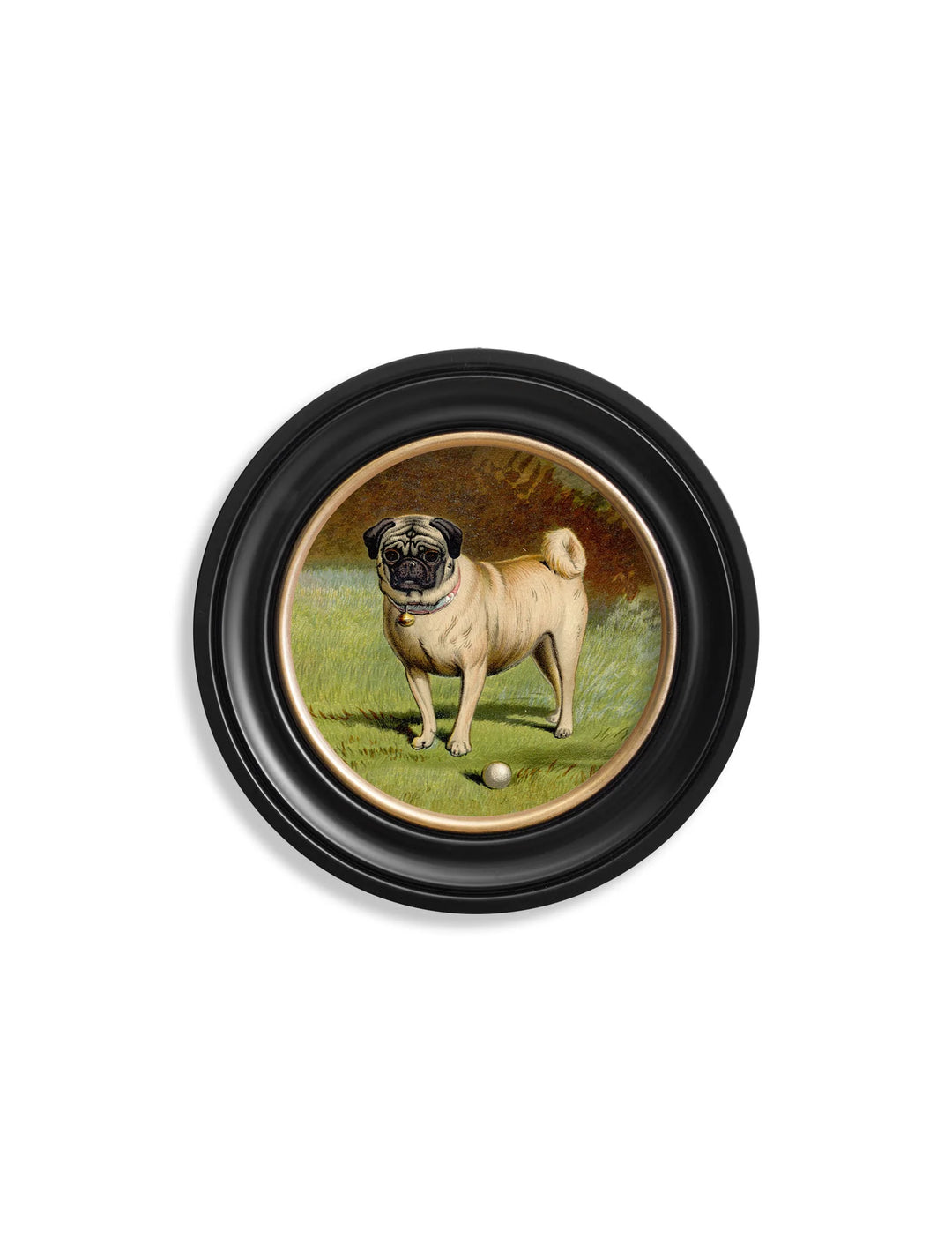 c.1881 Dogs - Round Frame - TheArtistsQuarter