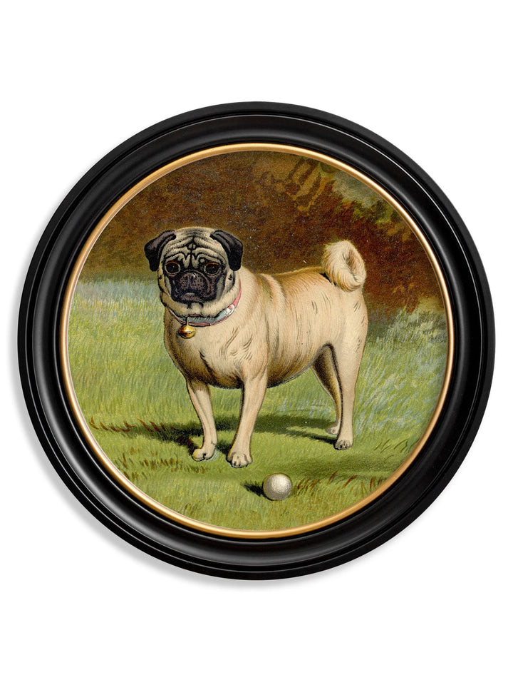 c.1881 Dogs - Round Frame - TheArtistsQuarter