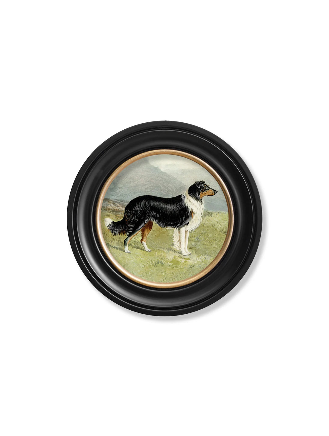 c.1881 Working Dogs - Round Frame - TheArtistsQuarter