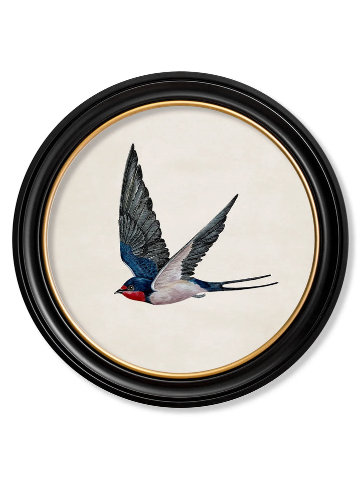 Swallows In Round Frames - TheArtistsQuarter