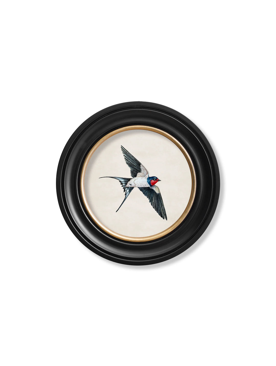 Swallows In Round Frames - TheArtistsQuarter