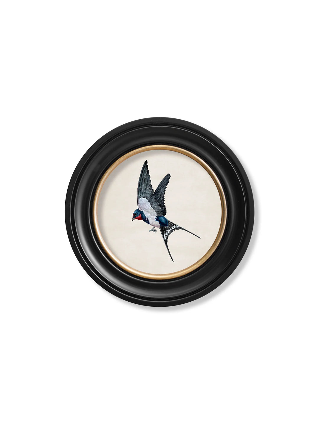 Swallows In Round Frames - TheArtistsQuarter