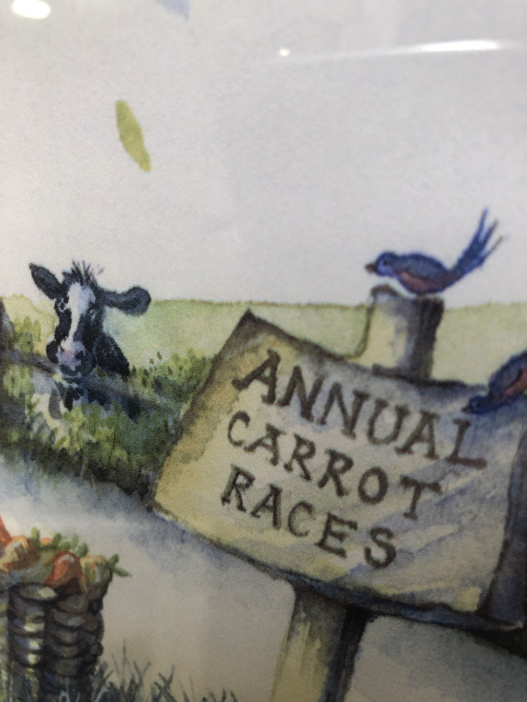 Annual Carrot Race By Catherine Stephenson *EXCLUSIVE* Free, Next Day Delivery** - TheArtistsQuarter