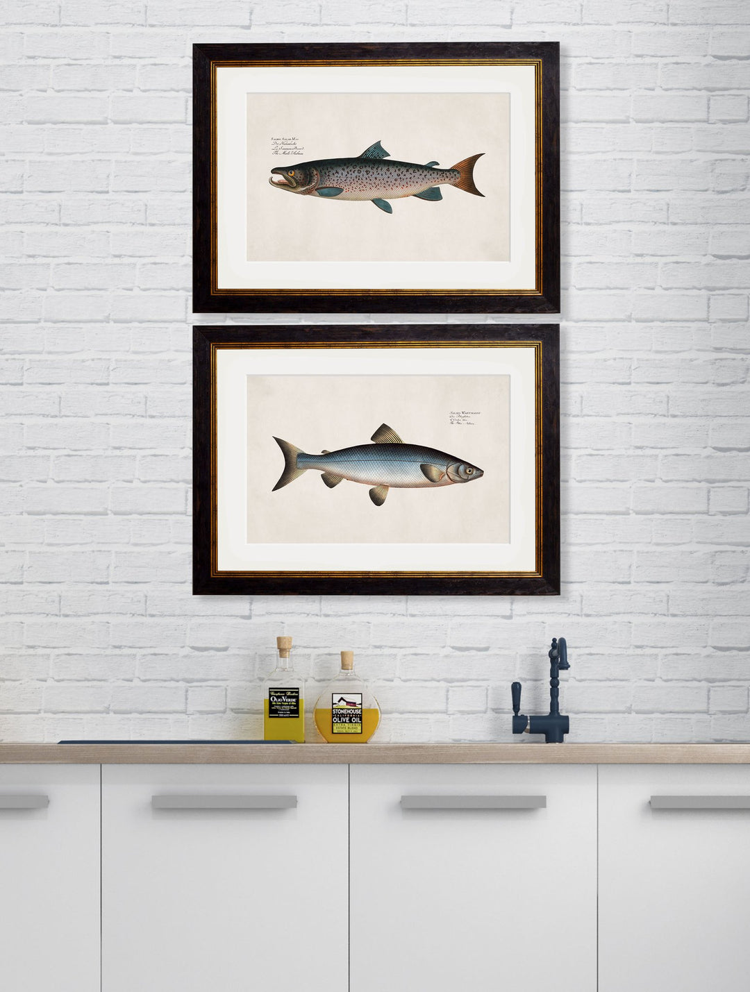 c.1785 Studies of Salmon - TheArtistsQuarter