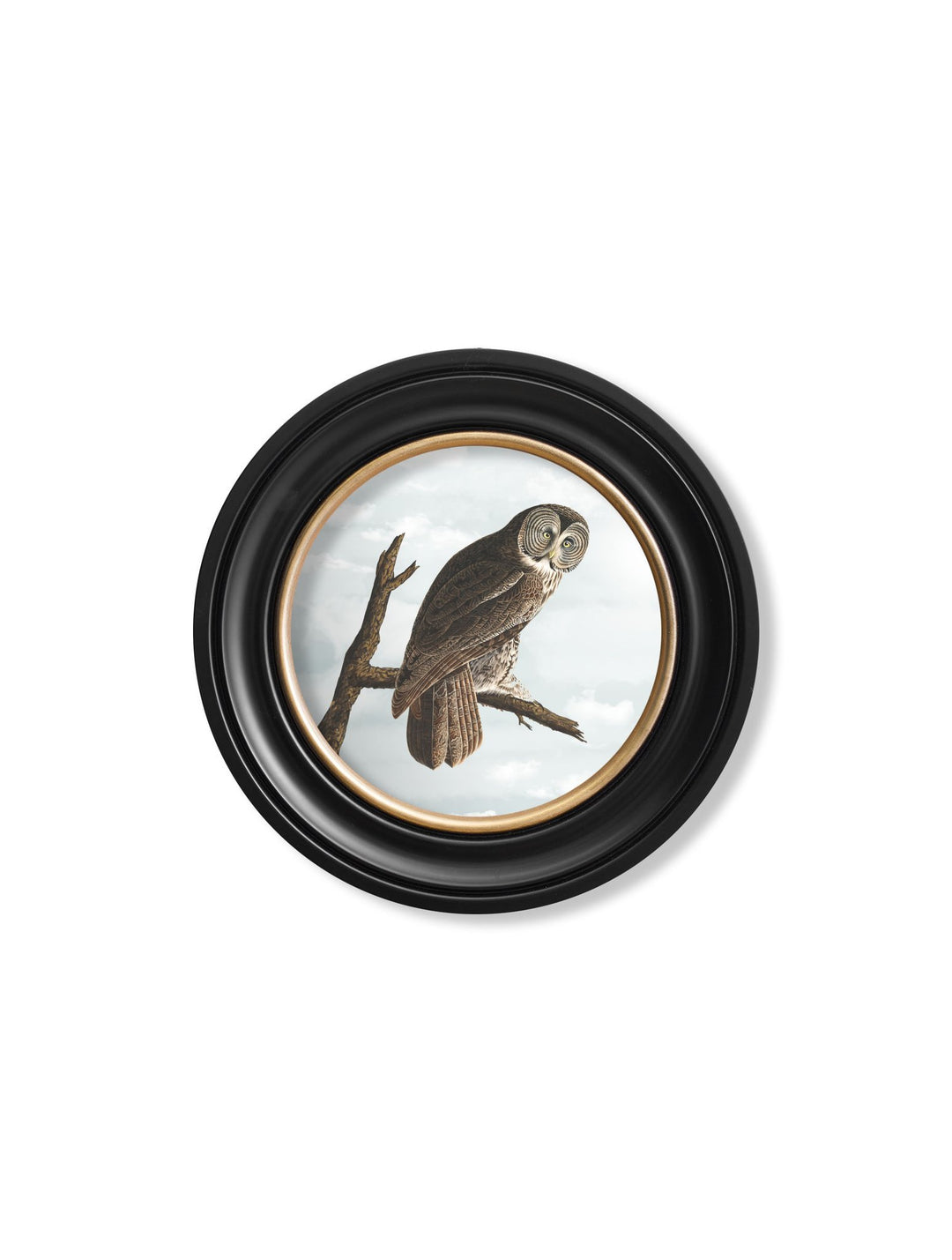 c.1838 Audubon's Owls - Round Frame - TheArtistsQuarter