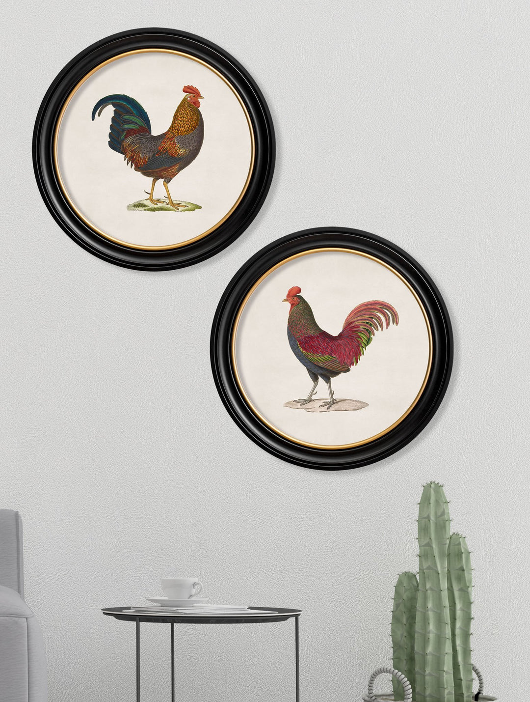 c.1838 Junglefowl in Round Frames - TheArtistsQuarter