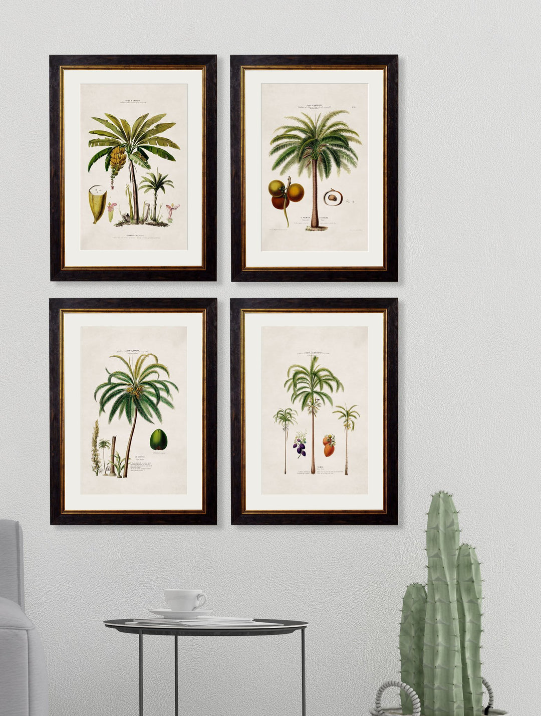 c.1843 Studies of South American Palm Trees - TheArtistsQuarter