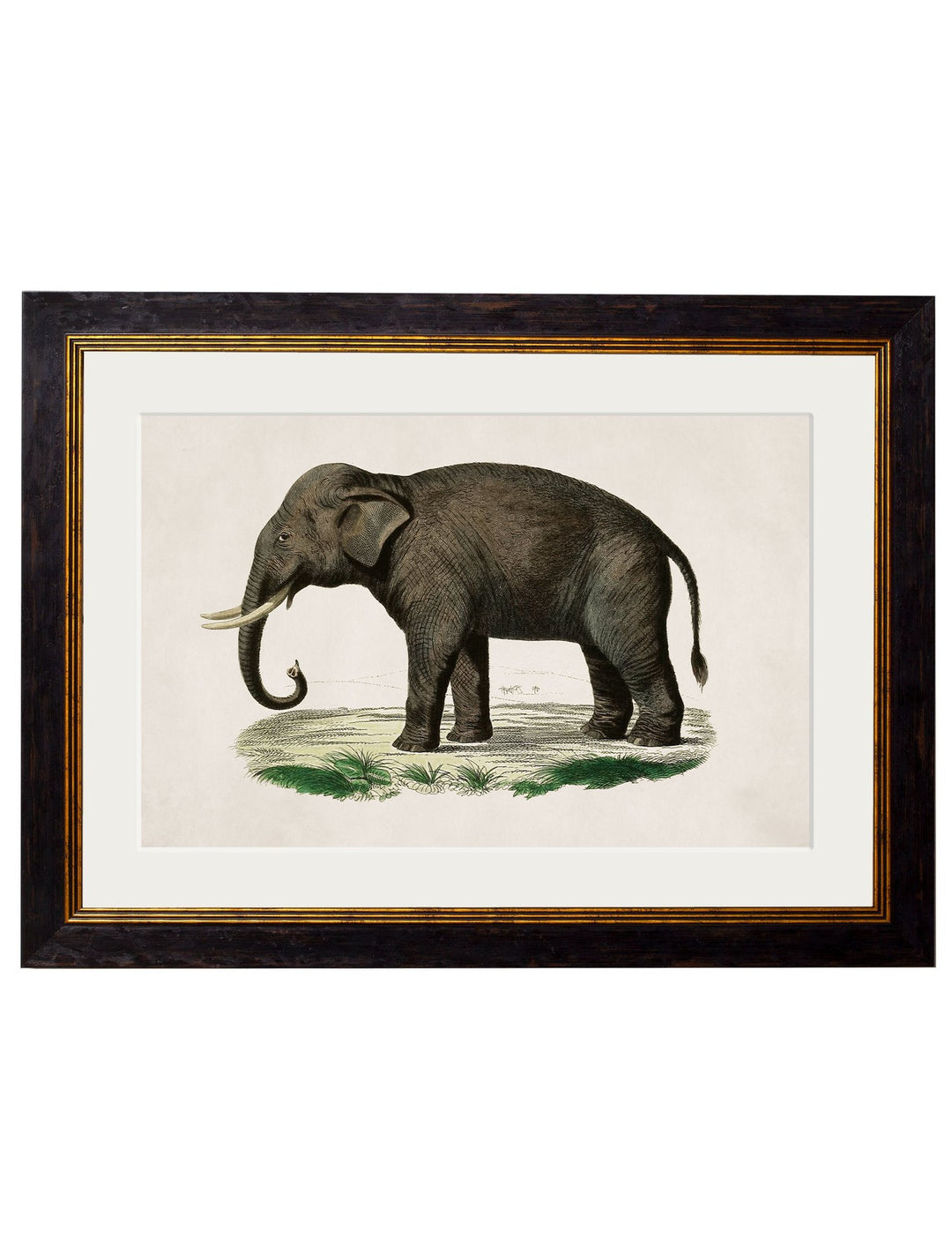 c.1846 Elephants - TheArtistsQuarter