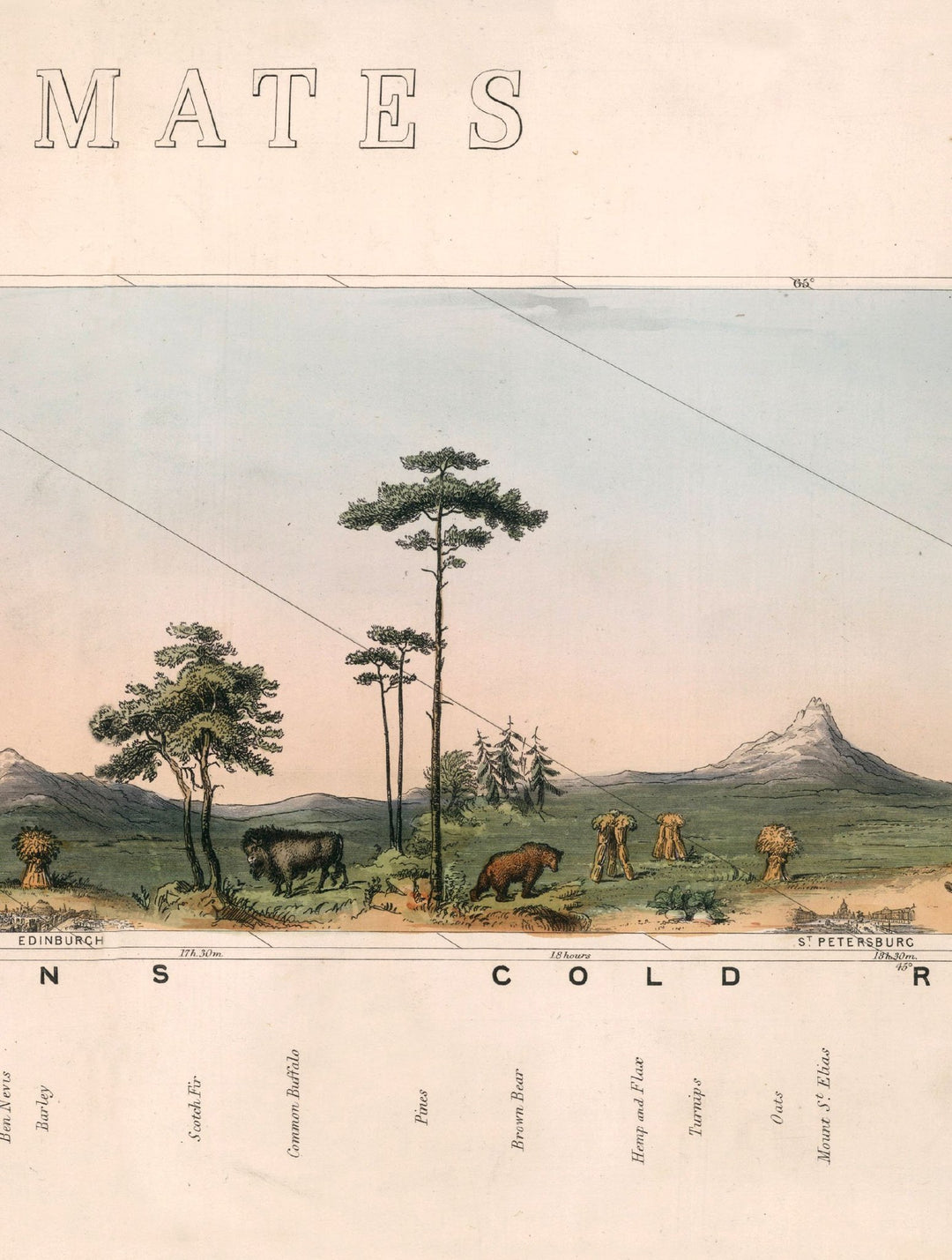 c.1852 View of Nature in all Climates - From the Equator to the Arctic Circle - TheArtistsQuarter