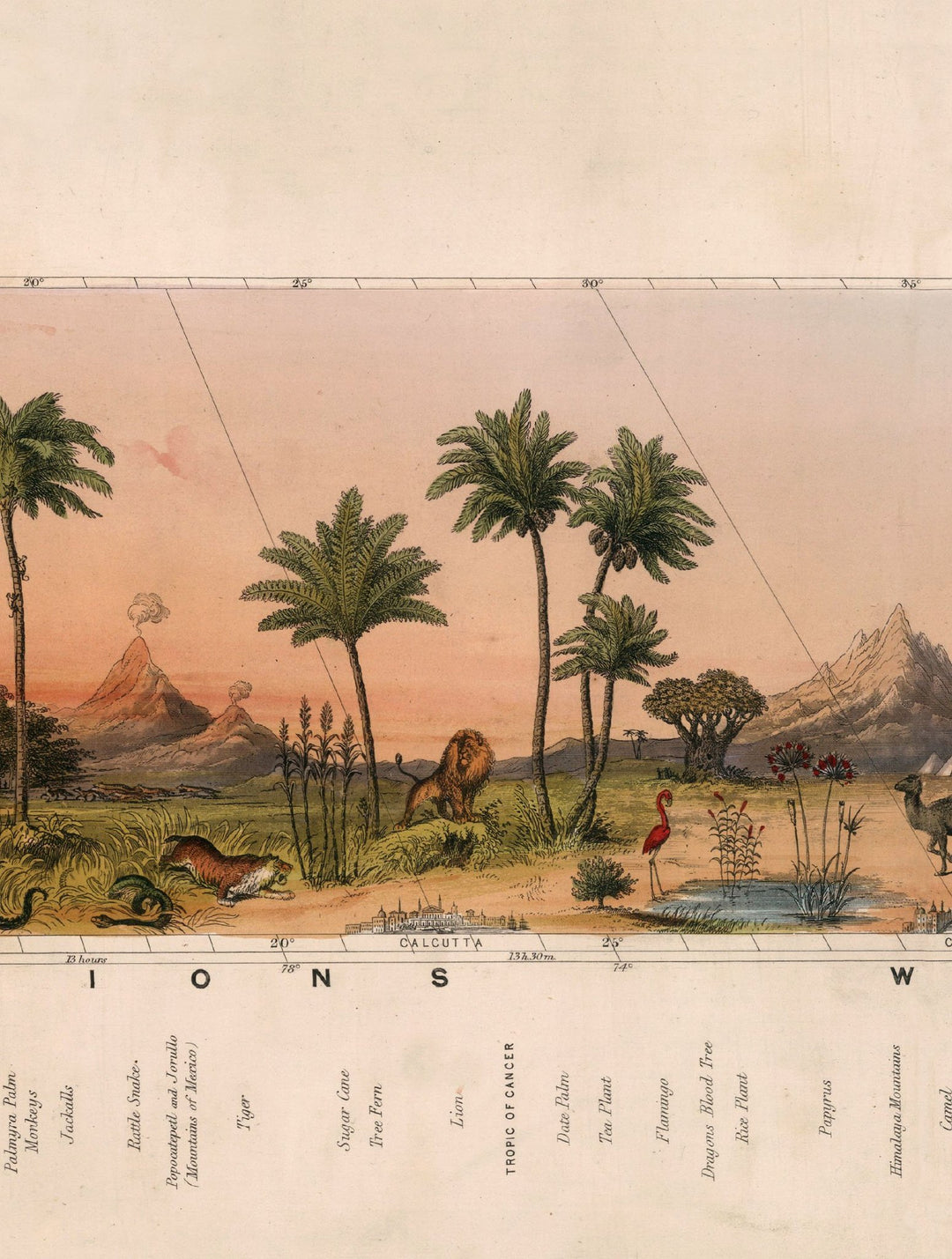 c.1852 View of Nature in all Climates - From the Equator to the Arctic Circle - TheArtistsQuarter