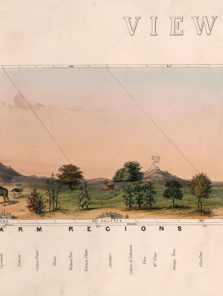 c.1852 View of Nature in all Climates - From the Equator to the Arctic Circle - TheArtistsQuarter