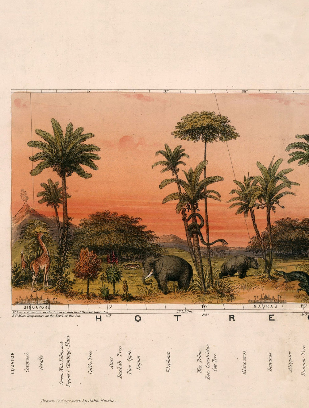 c.1852 View of Nature in all Climates - From the Equator to the Arctic Circle - TheArtistsQuarter