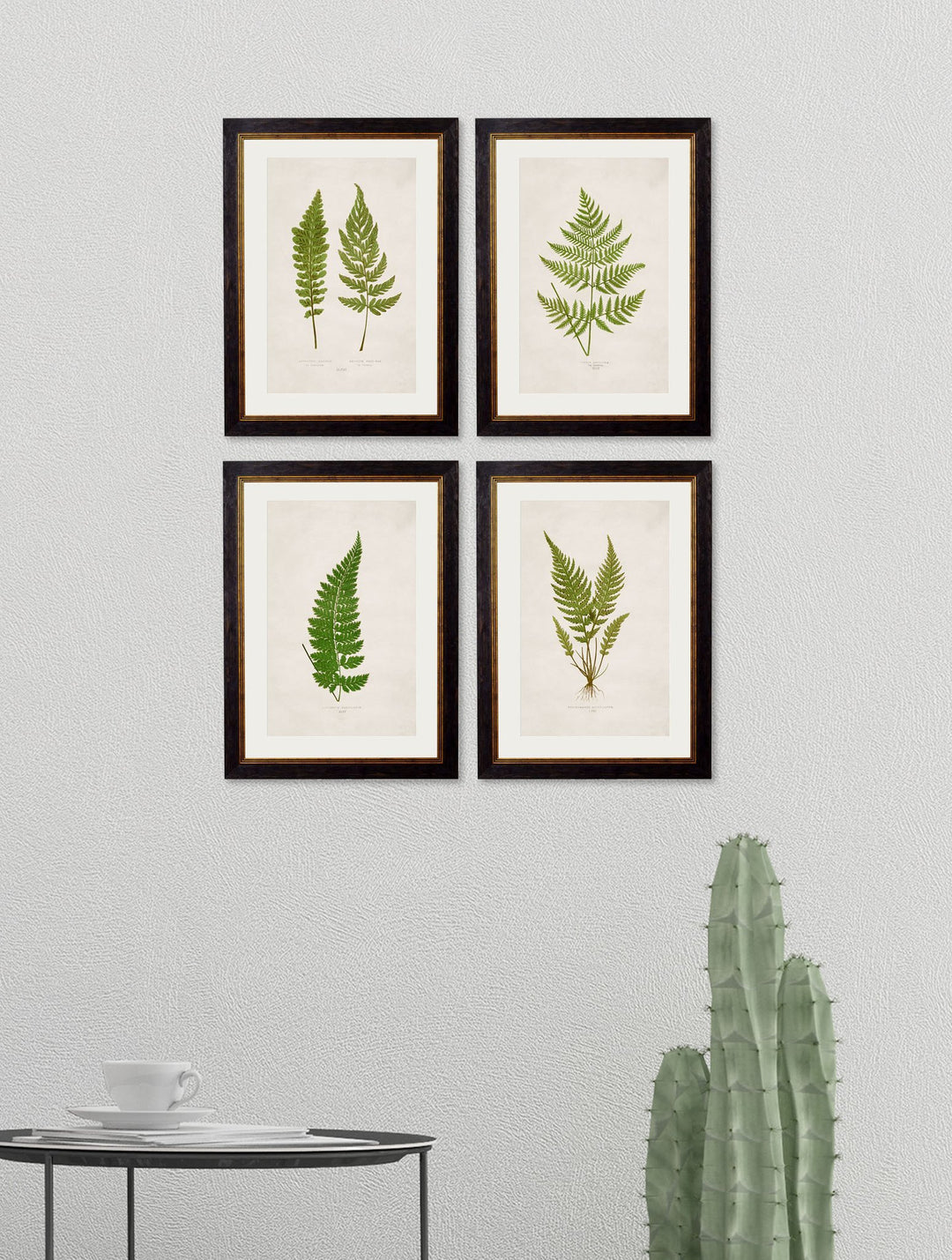 c.1864 Collection of British Ferns - TheArtistsQuarter