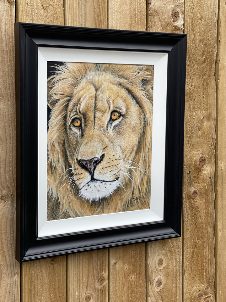 Lion By Sophie Kilpatrick (Original) - TheArtistsQuarter